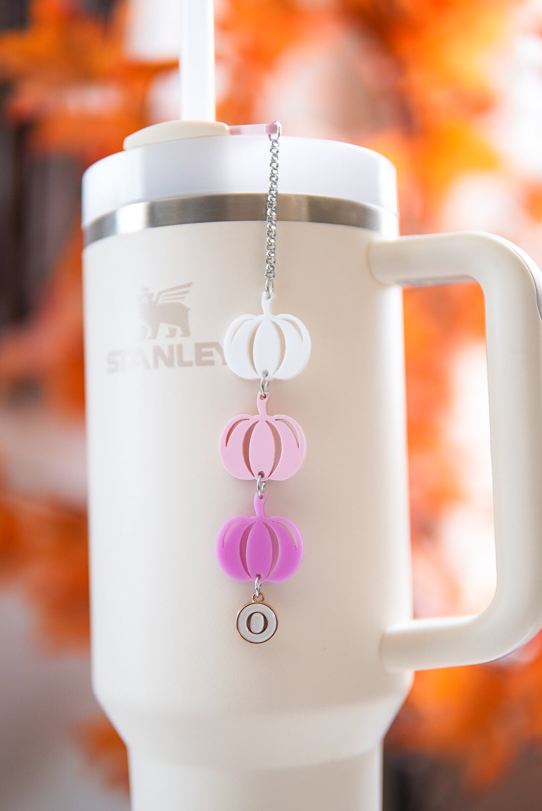 Pink Ombré Pumpkin Charm tumbler Charm
