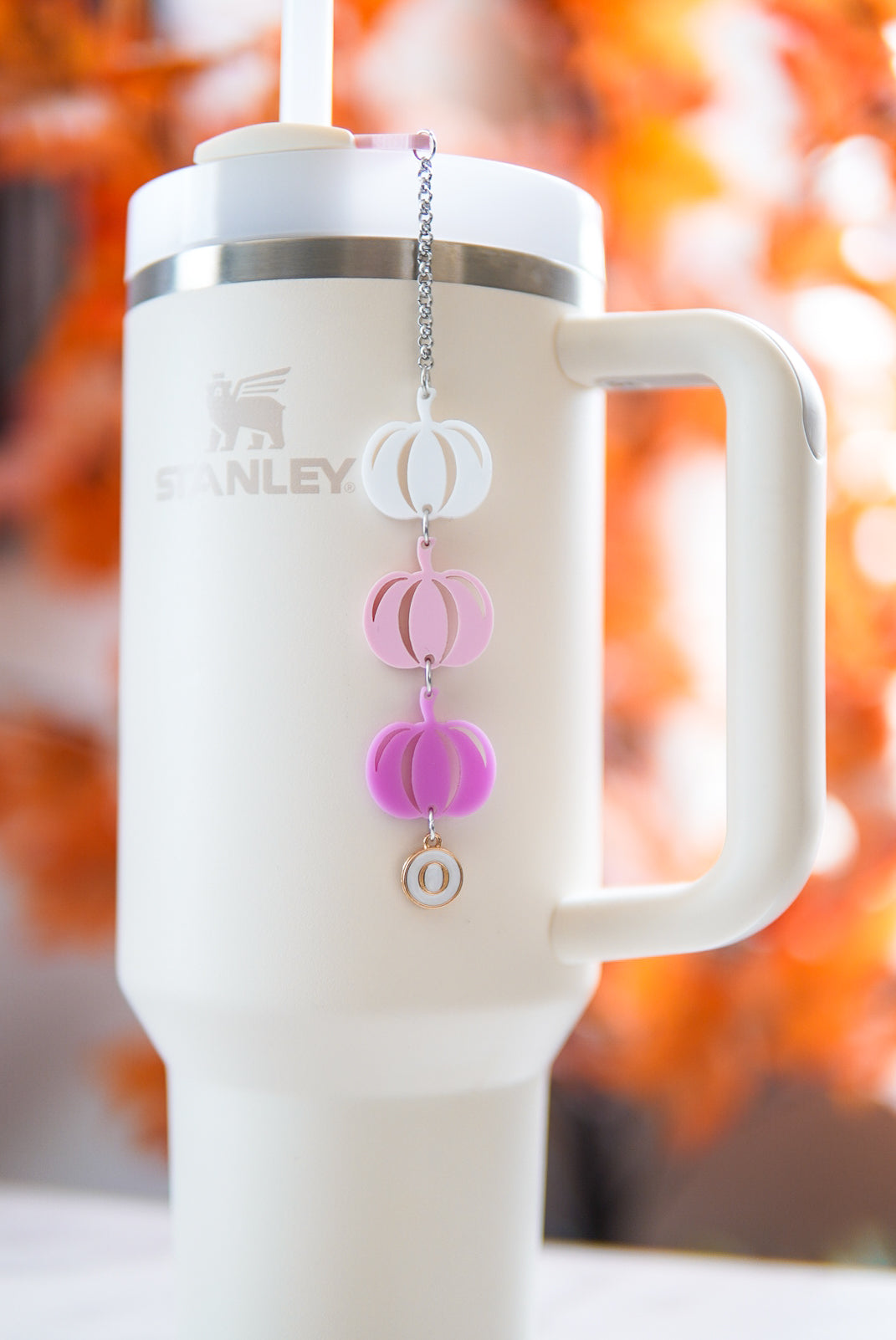 Pink Ombré Pumpkin Charm tumbler Charm