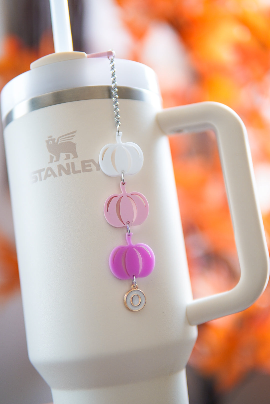Pink Ombré Pumpkin Charm tumbler Charm