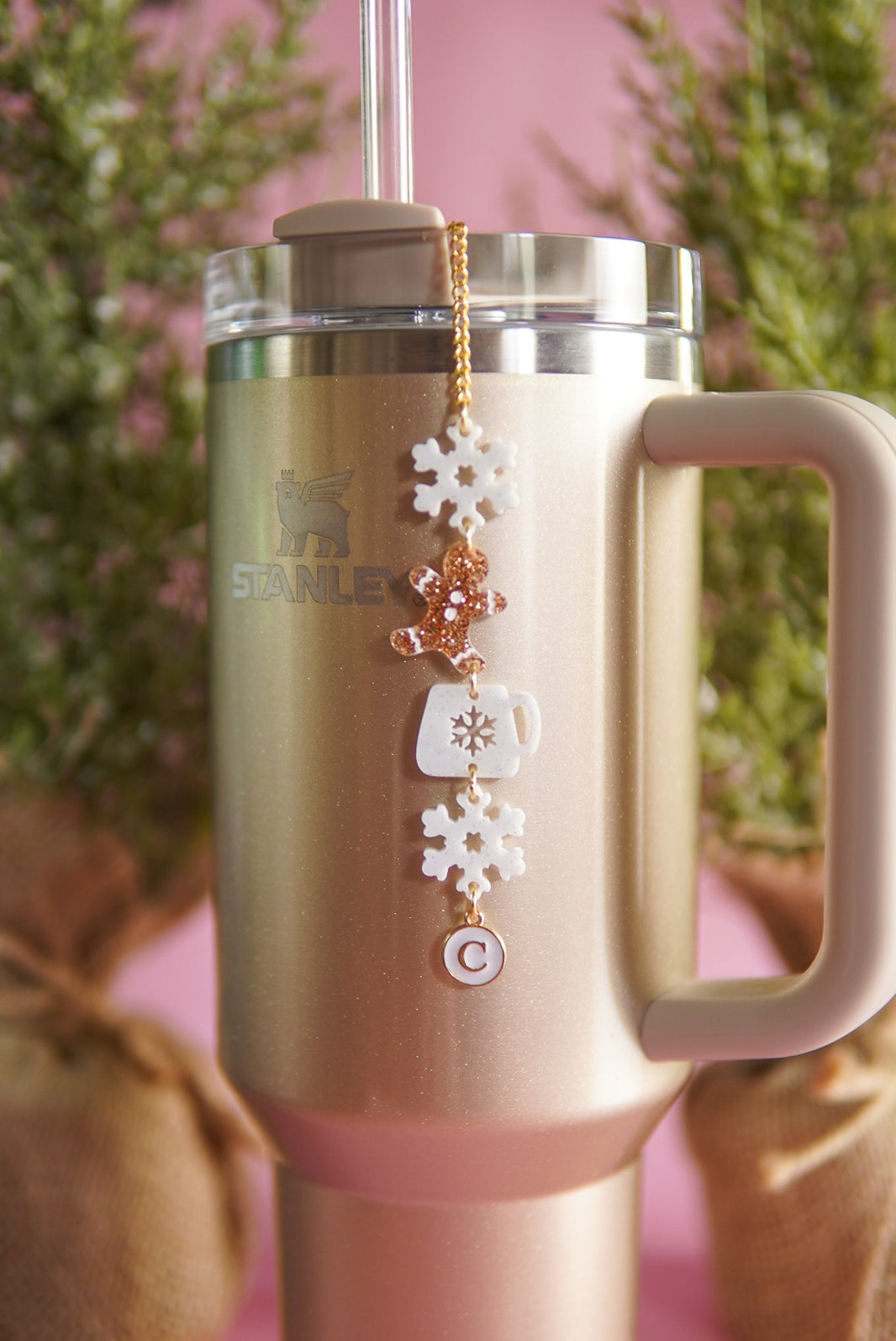 Gingerbread Tumbler Charm