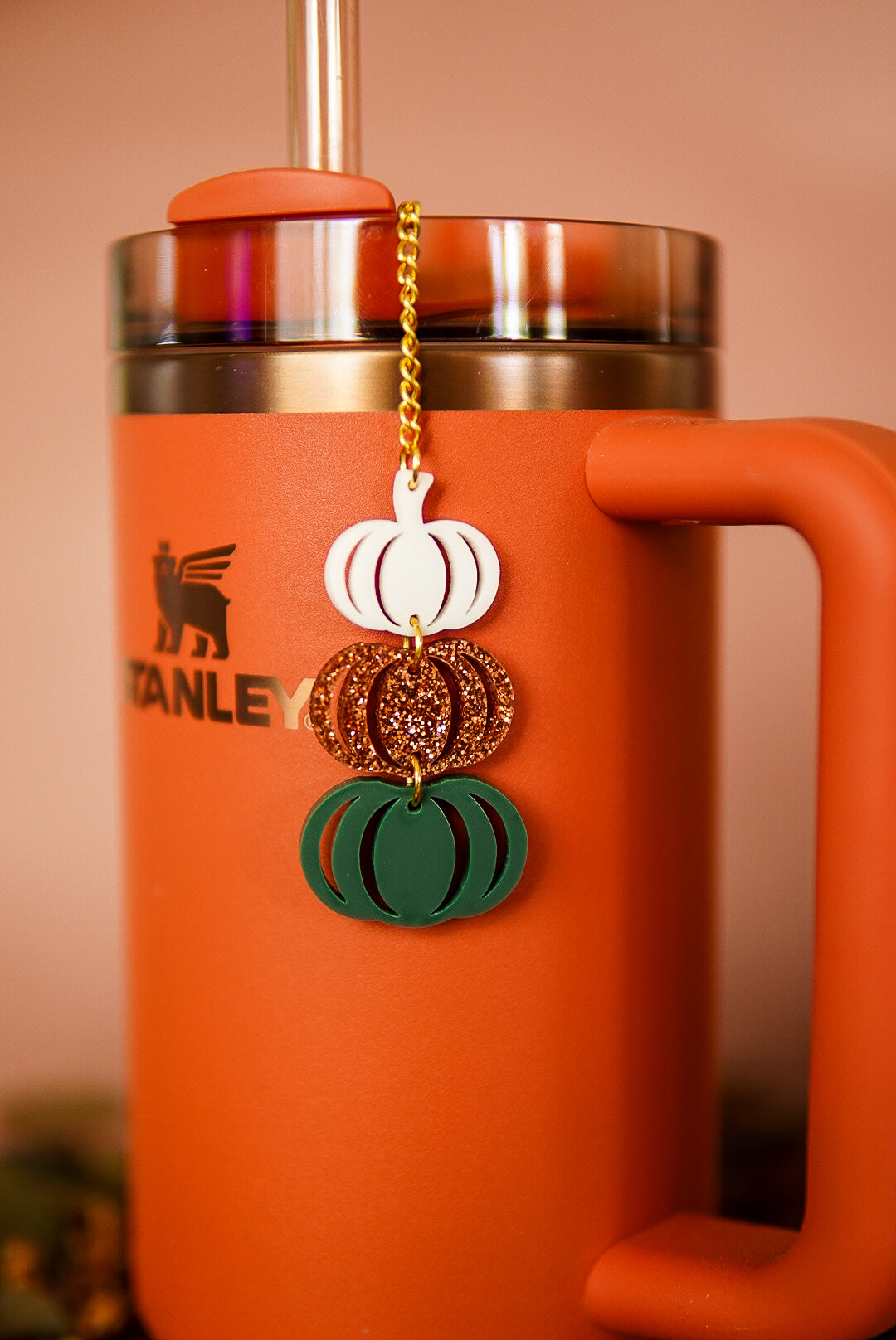Boho Pumpkins Tumbler Charm
