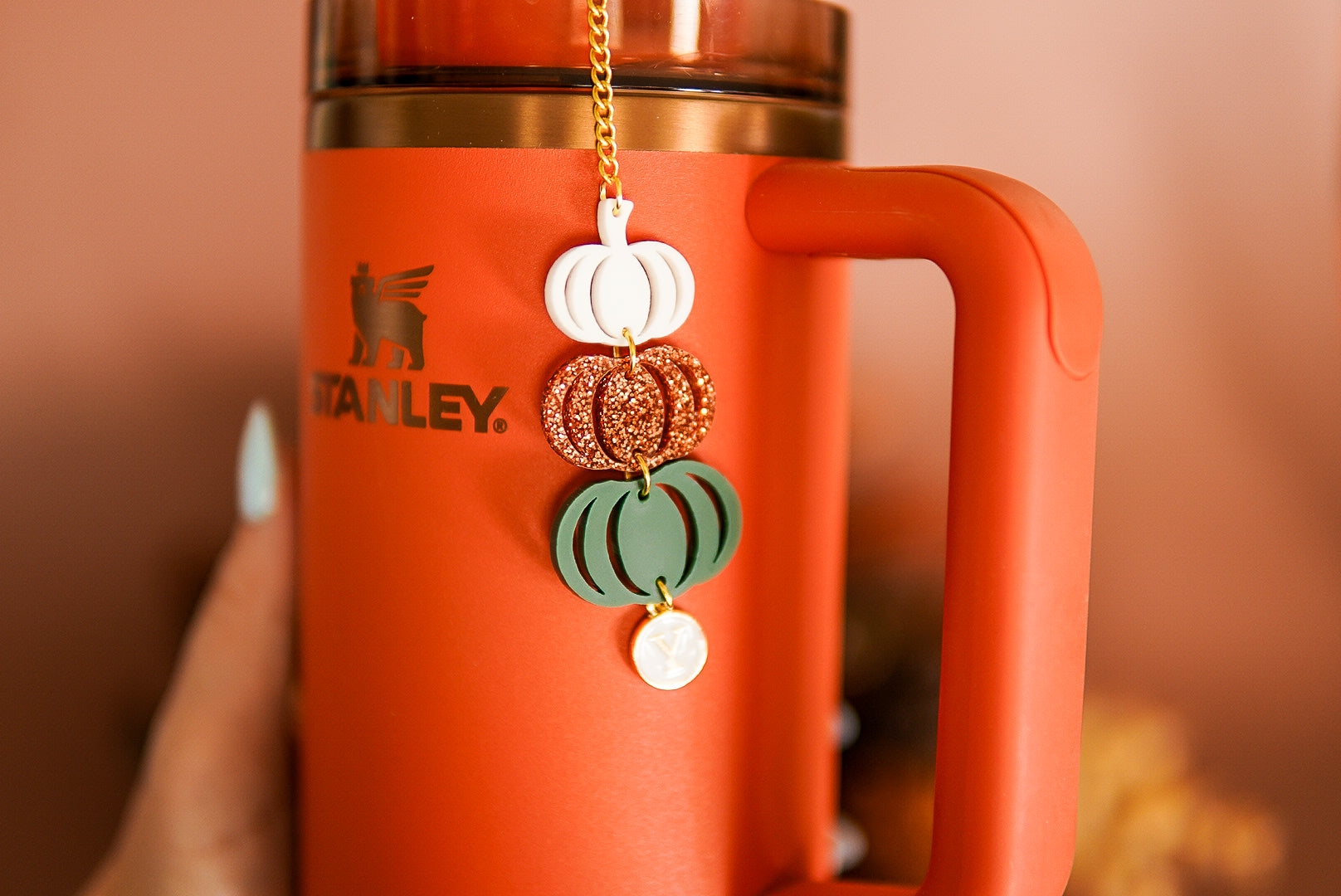 Boho Pumpkins Tumbler Charm