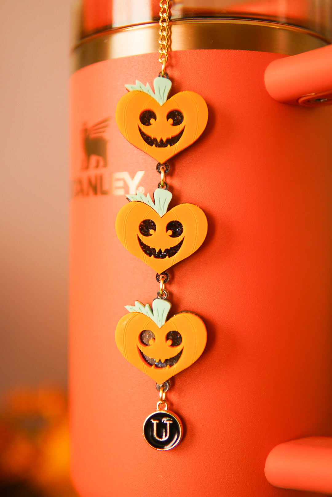 Heart Pumpkins Tumbler Charm
