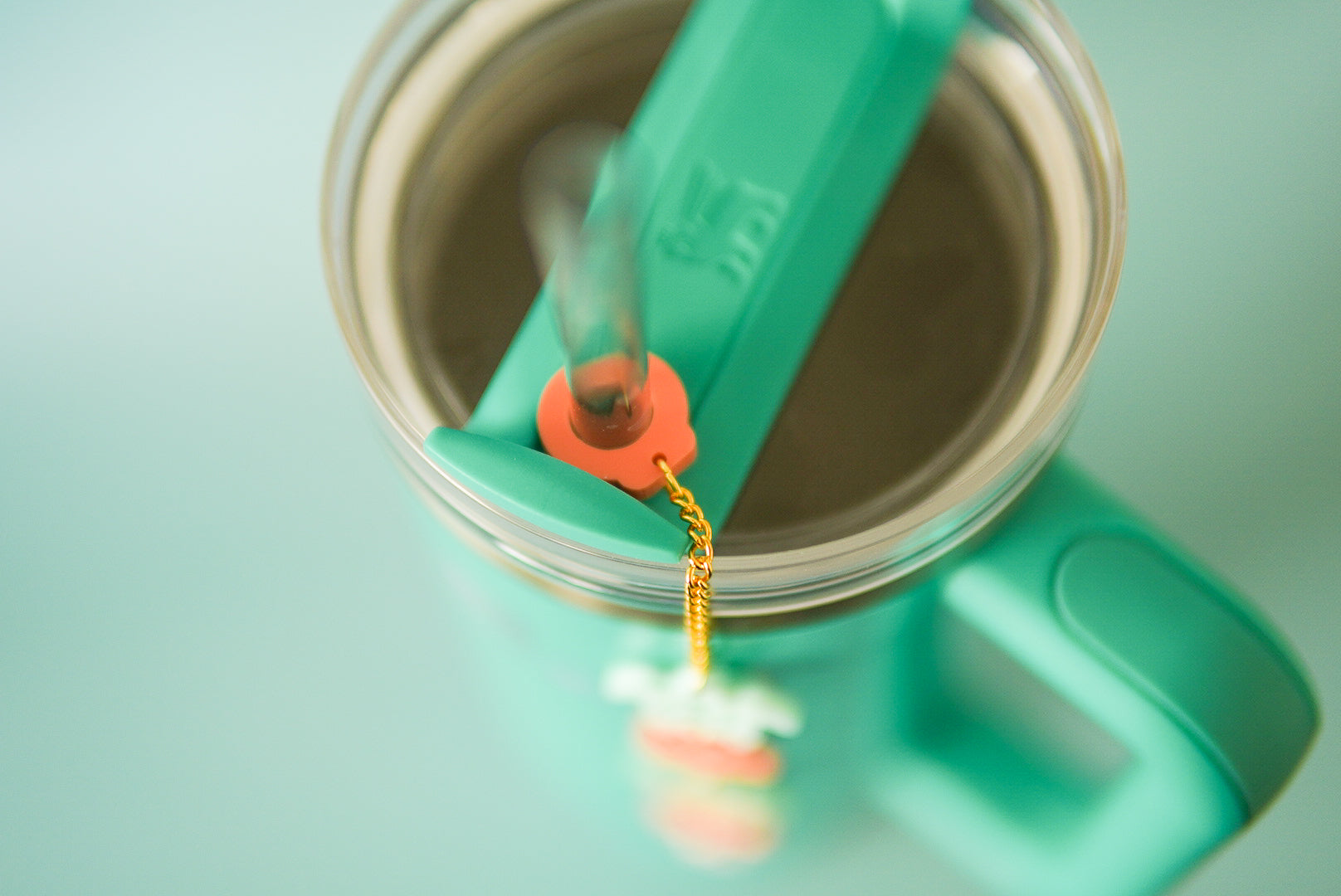 Turtle Reef Tumbler Charm