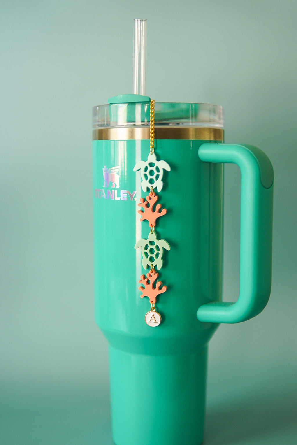 Turtle Reef Tumbler Charm