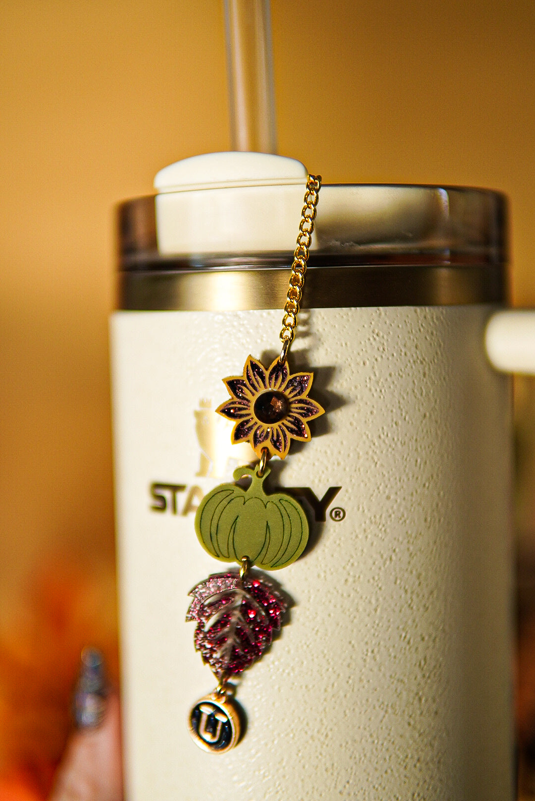 Country Fall Tumbler Charm