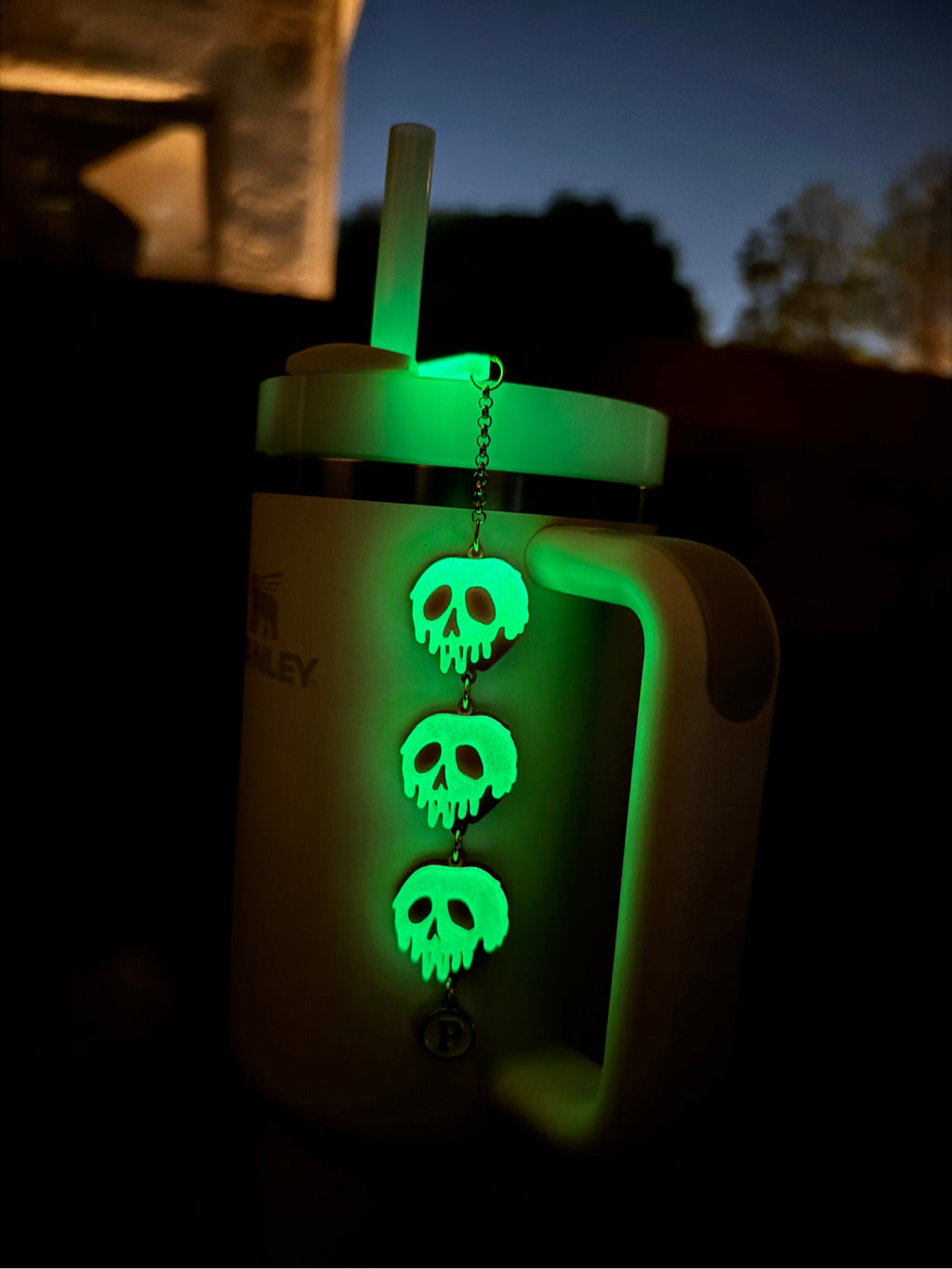 Poison Apple Tumbler Charm