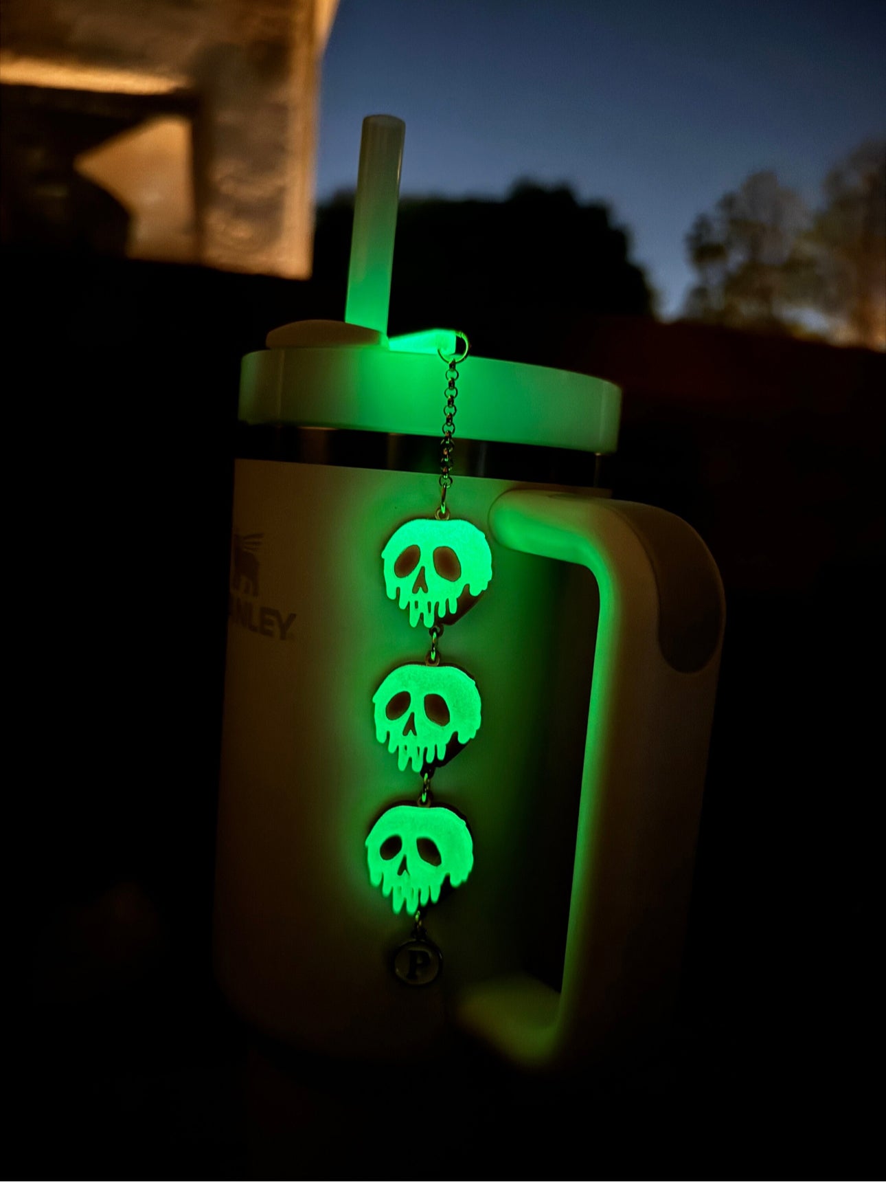 Poison Apple Tumbler Charm